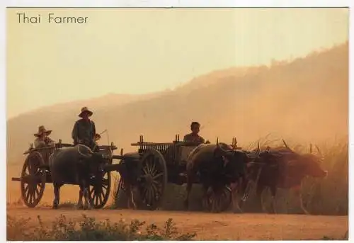 [Ansichtskarte] THAILAND - Thai Farmer. 