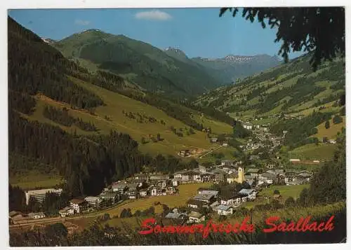 [Ansichtskarte] AUSTRIA - Saalbach. 