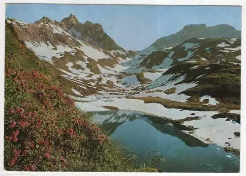 [Ansichtskarte] AUSTRIA -  Alpenrosenblüte in den Tauern - der Zaunersee. 