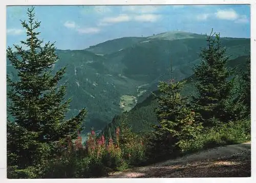 [Ansichtskarte] GERMANY - Im Hochschwarzwald - Feldbergblick. 