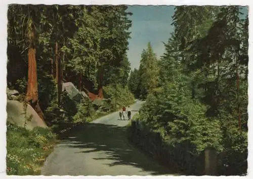 [Ansichtskarte] GERMANY - Bergstraße im Bayerwald. 