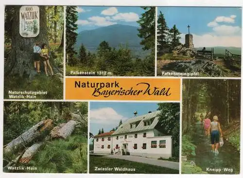 [Ansichtskarte] GERMANY - Naturpark Bayerischer Wald. 