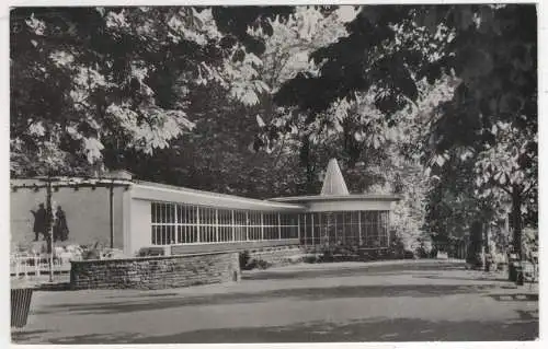 [Ansichtskarte] GERMANY -  Bad Wildungen - Kurpark Café. 