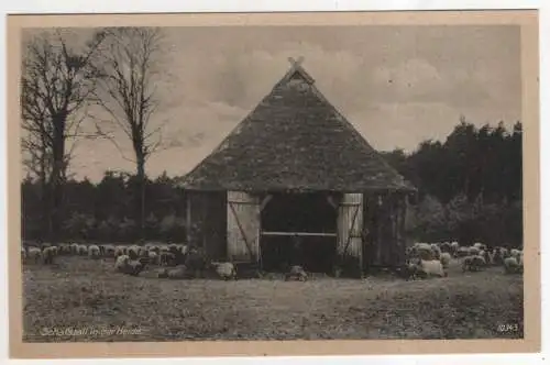 [Ansichtskarte] GERMANY -  Schafstall in der Heide. 