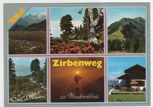 [Ansichtskarte] AUSTRIA - Zirbenweg vom Patscherkofel bei Tulfein. 