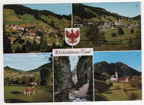 [Ansichtskarte] AUSTRIA - Wildschönau. 