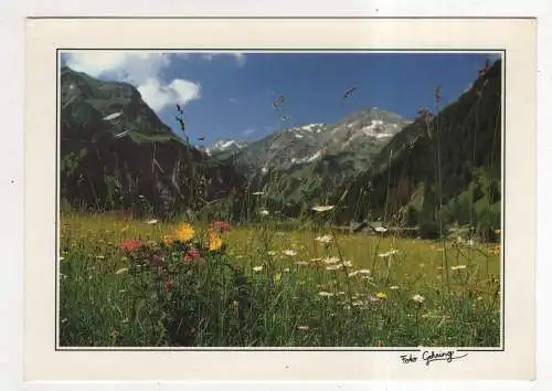 [Ansichtskarte] AUSTRIA - Tannheimertal. 