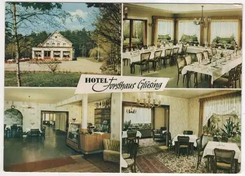 [Ansichtskarte] GERMANY - Lauenburg / Elbe - Hotel Forsthaus Glüsing. 