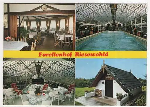 [Ansichtskarte] GERMANY - Riesewohld / Holst. Restaurant-Hotel-Forellenhof. 