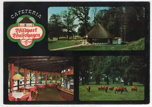 [Ansichtskarte] GERMANY - Wulfshagen - Cafeteria am Wildpark. 