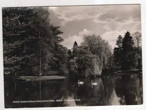 [Ansichtskarte] GERMANY - Bad Liebenstein / Thür. - Elisabeth-Park. 