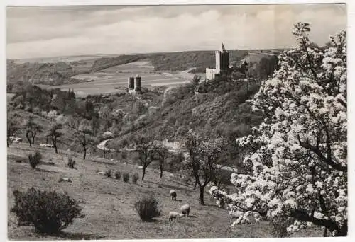 [Ansichtskarte] GERMANY - Die Rudelsburg und Burg Saaleck. 