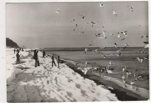 [Ansichtskarte] GERMANY - Winter an der Ostsee. 