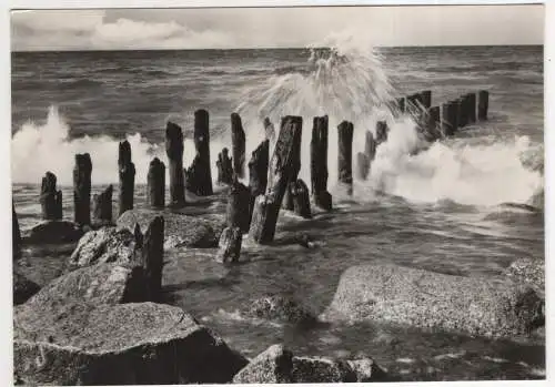 [Ansichtskarte] GERMANY - An der Ostsee. 