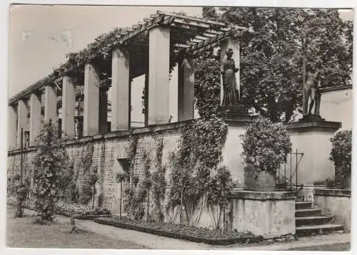 [Ansichtskarte] GERMANY -  Potsdam - Sanssouci - Am Schloß Charlottenhof. 