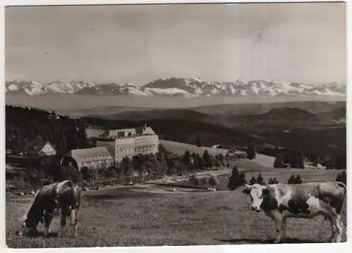 [Ansichtskarte] GERMANY - Feldberg im Schwarzwald - Hotel Feldberger Hof mit Alpensicht. 