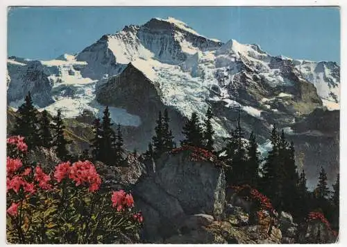 [Ansichtskarte] SWITZERLAND - Die Jungfrau. 