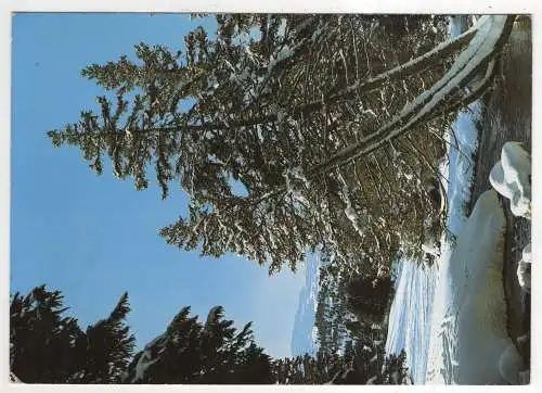 [Ansichtskarte] SWITZERLAND - Lenzerheide - Valbella am Heidbach. 