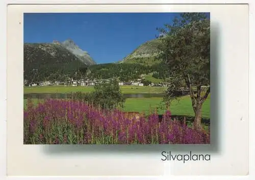 [Ansichtskarte] SWITZERLAND - Silvaplana. 