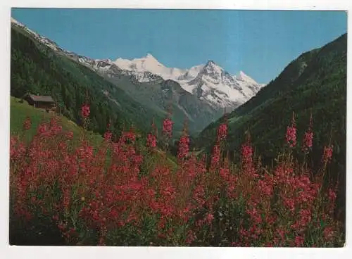 [Ansichtskarte] SWITZERLAND - Val d'Annivers. 