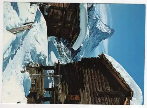 [Ansichtskarte] SWITZERLAND - Zermatt - Winkelmatten  mit Matterhorn. 