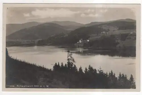 [Ansichtskarte] GERMANY - Titisee / Schwarzwald. 