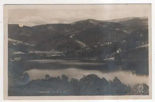 [Ansichtskarte] GERMANY - Titisee / Schwarzwald. 