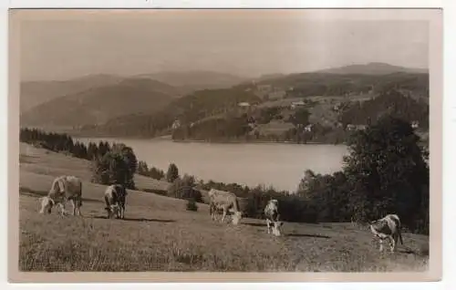 [Ansichtskarte] GERMANY - Titisee / Schwarzwald. 