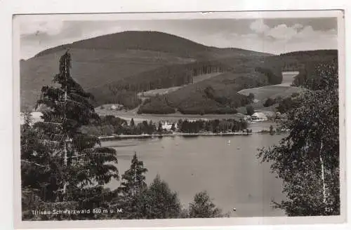 [Ansichtskarte] GERMANY - Titisee /  Schwarzwald. 