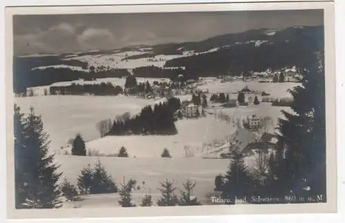 [Ansichtskarte] GERMANY - Titisee /  Schwarzwald. 