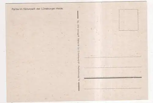 [Ansichtskarte] GERMANY - Lüneburger Heide. 