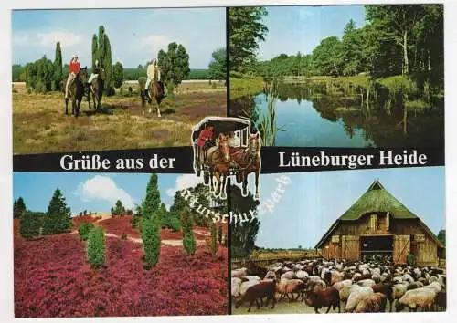 [Ansichtskarte] GERMANY - Lüneburger Heide. 