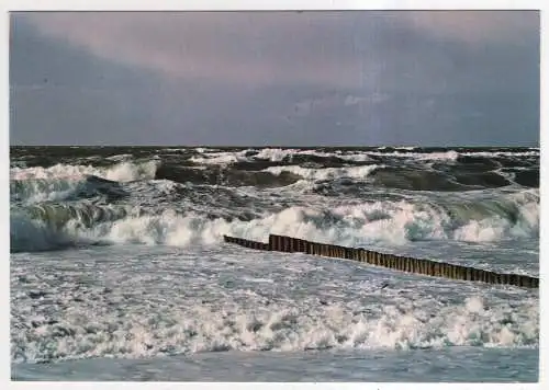 [Ansichtskarte] GERMANY - Sylt - Nordsee und Buhne. 