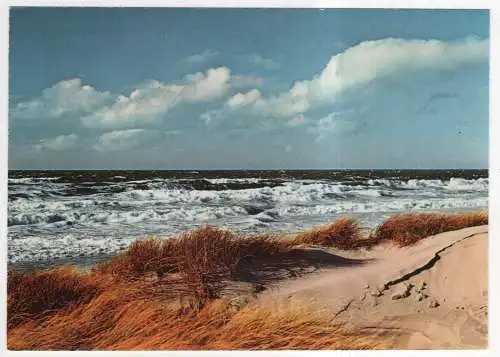 [Ansichtskarte] GERMANY - Sylt - Düne und Nordsee. 