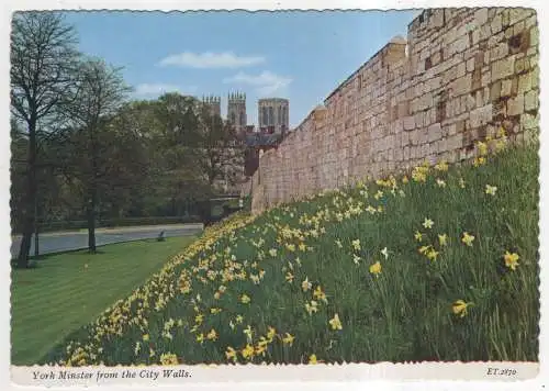 [Ansichtskarte] ENGLAND - York Minster from the City Walls. 