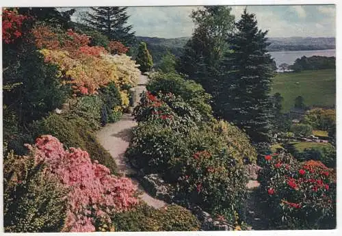 [Ansichtskarte] ENGLAND - Windermere - Rock Garden. 