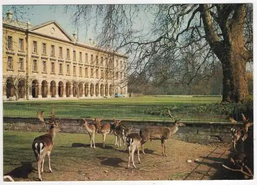 [Ansichtskarte] ENGLAND - Oxford - Magdalen College. 