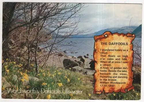 [Ansichtskarte] ENGLAND - Ullswater - Wordsworth's Daffodils. 