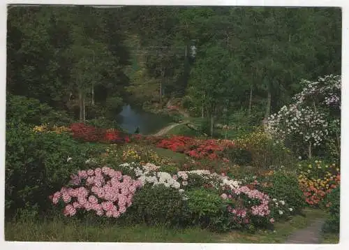 [Ansichtskarte] ENGLAND - Leonardslee Gardens - Mossy Ghyll View. 