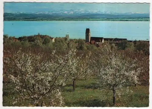 [Ansichtskarte] GERMANY - Bodensee bei Hagnau mit Säntis-Massiv. 