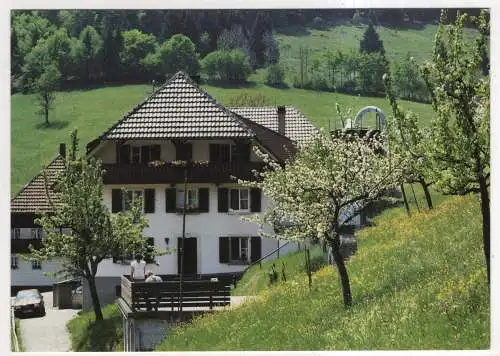 [Ansichtskarte] GERMANY - Neuenweg - Haus Belchenblick. 