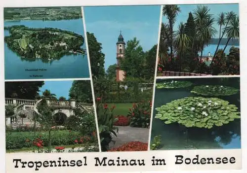 [Ansichtskarte] GERMANY - Mainau im Bodensee. 