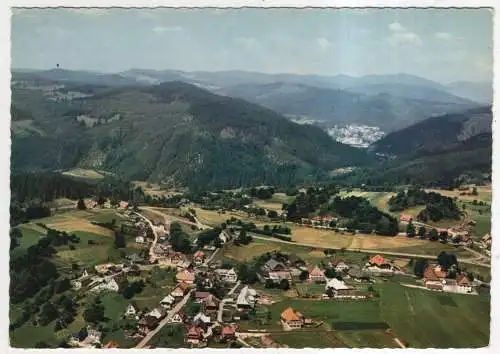 [Ansichtskarte] GERMANY - Häusern im Hochschwarzwald. 