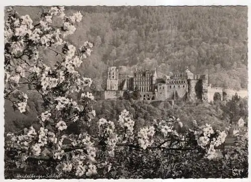 [Ansichtskarte] GERMANY - Heidelberg - Schloß. 