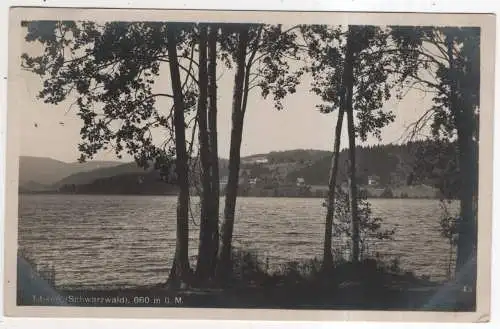 [Ansichtskarte] GERMANY - Titisee i. Schwarzwald. 