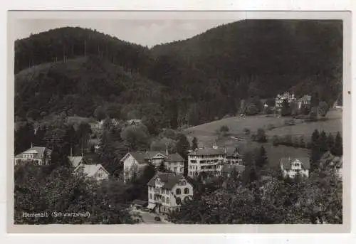 [Ansichtskarte] GERMANY - Herrenalb - Schwarzwald. 