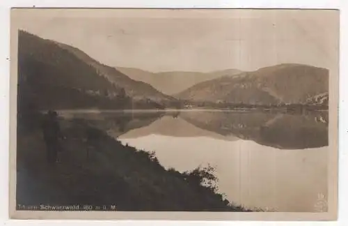 [Ansichtskarte] GERMANY - Titisee - Schwarzwald. 