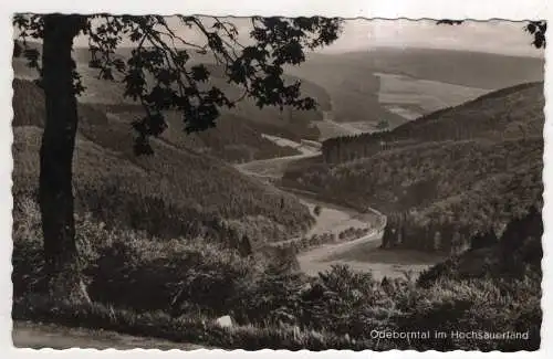 [Ansichtskarte] GERMANY - Odeborntal im Hochsauerland. 