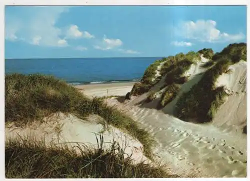 [Ansichtskarte] GERMANY - Dünen und Meer. 