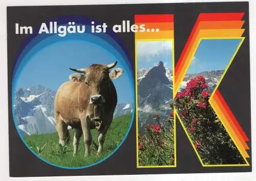 [Ansichtskarte] GERMANY - Allgäu. 